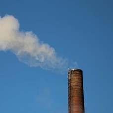 Karbon piyasası Türkiye'nin yeşil dönüşüm sürecinde kilit rol oynayacak