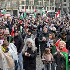 Yüzlerce Hollanda'lı Gazze'de kalıcı ateşkes için yürüdü