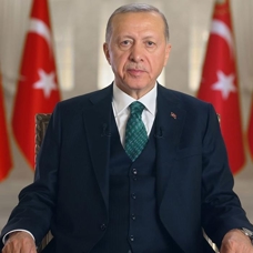 Başkan Erdoğan, TFF Başkanı'nı kabul etti