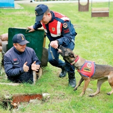 Jandarma köpekleri antrenmanı aksatmıyor