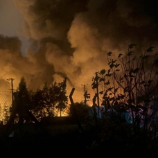 Kocaeli'de palet fabrikasında yangın çıktı