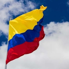 Kolombiya lideri veto edilen ateşkes kararını kınadı