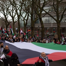 Hollanda'da on binler Filistin'e destek için meydanlarda