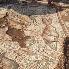 Mardin'de kurtarma kazısında deniz canlıları figürlü mozaikler bulundu