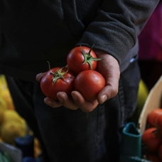 İstanbullular 2023'te en çok domates ve karpuz tüketti