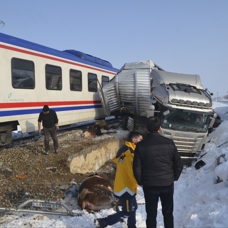Muş'ta hemzemin geçitte trenin tıra çarpması sonucu 2 kişi yaşamını yitirdi
