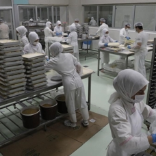 Kahramanmaraşlı dondurmacılar depreme rağmen üretim ve ihracatı artırdı