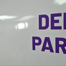 DEM Parti'de İstanbul'da seçime giriyor