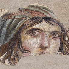 Antik çağın büyüleyici mozaiklerinin sergilendiği; Zeugma Mozaik Müzesi
