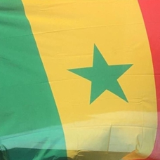 Senegal'de cumhurbaşkanlığı seçimi 24 Mart'ta 