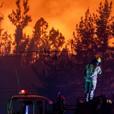 Meksika'da orman yangınları