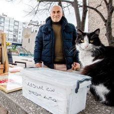 Kedilere özel bağış kutusu
