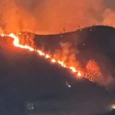 Trabzon'da orman yangını 