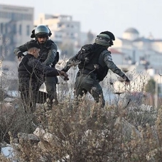 İsrail güçleri, Batı Şeria'daki baskınlarda çok sayıda Filistinliyi gözaltına aldı