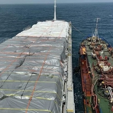 Türkiye'den yardımlarını Gazze'ye götüren gemi Mısır açıklarına ulaştı