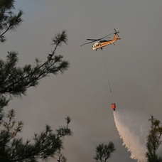 Orman yangınlarının önlenmesi için 3 Mayıs'ta "Orman Benim" kampanyası düzenlenecek