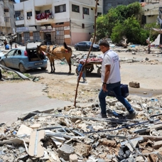 Gazze, Kurban Bayramı'nda da yalnız kalmayacak